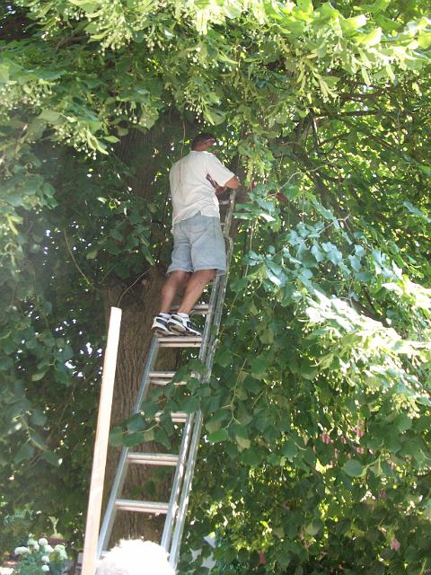 Schuetzenfest 1 (4).jpg